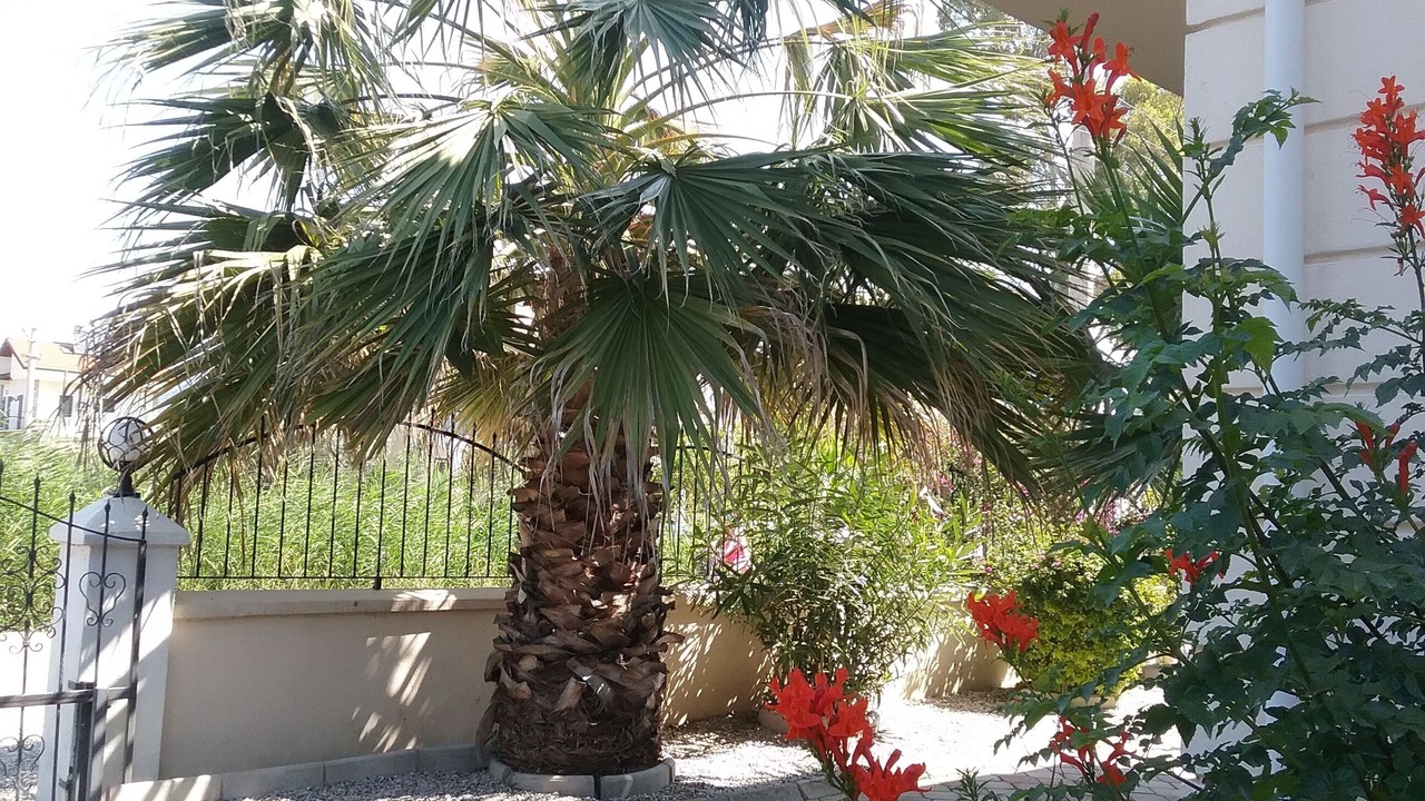 Photo of Outdoor in Fethiye City Center