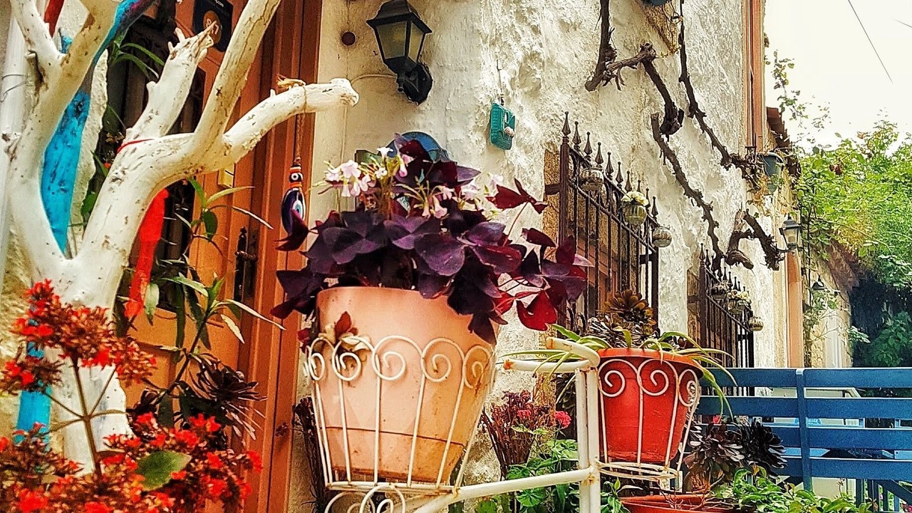 Photo of Outdoor in Hacımemis