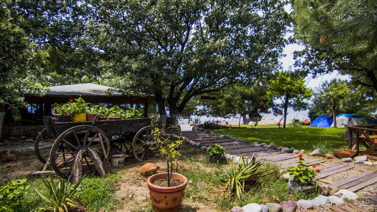 Photo of Outdoor in Ezine