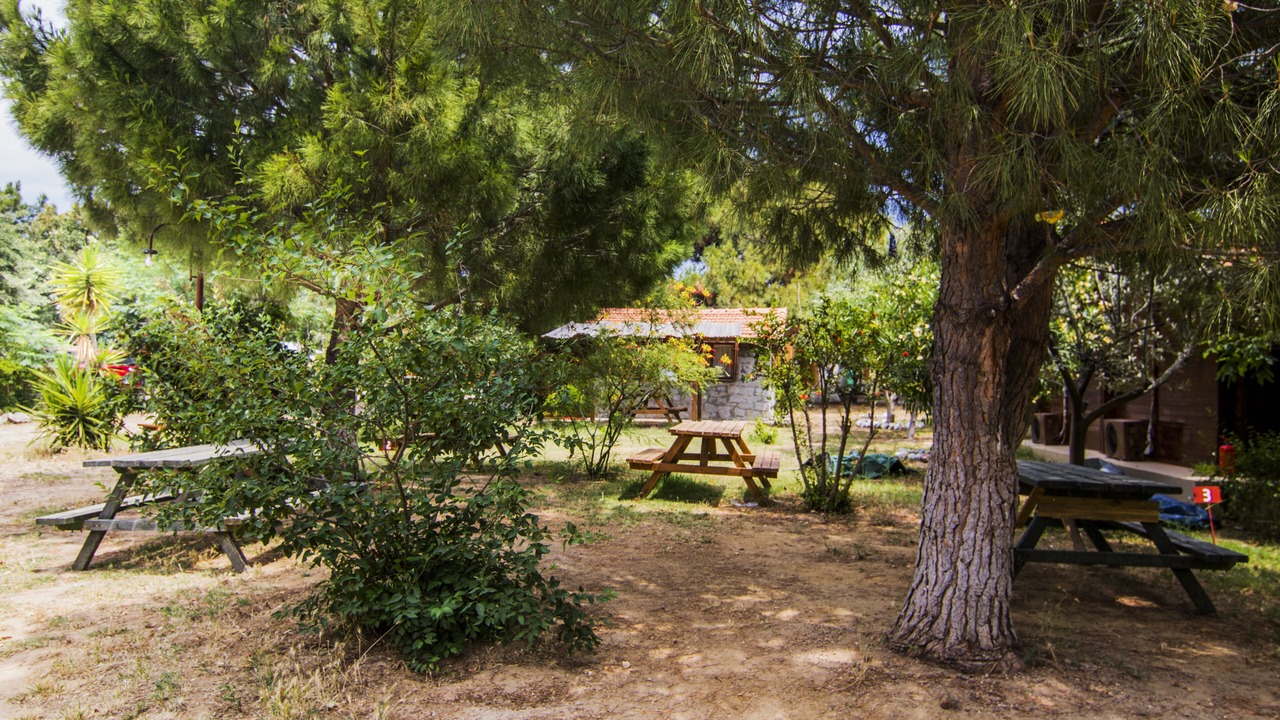 Photo of Outdoor in Ezine