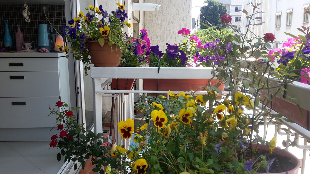 Photo of Outdoor in Karsiyaka