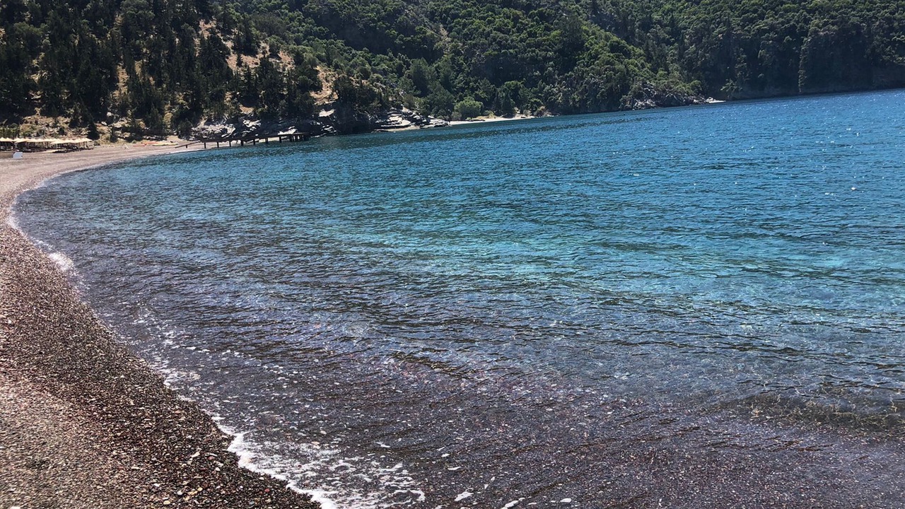 Photo of Others in Dalyan
