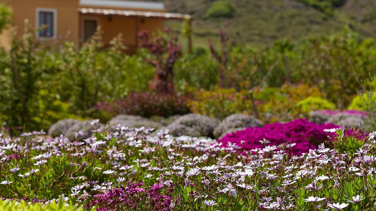 Photo of Outdoor in Bozcaada