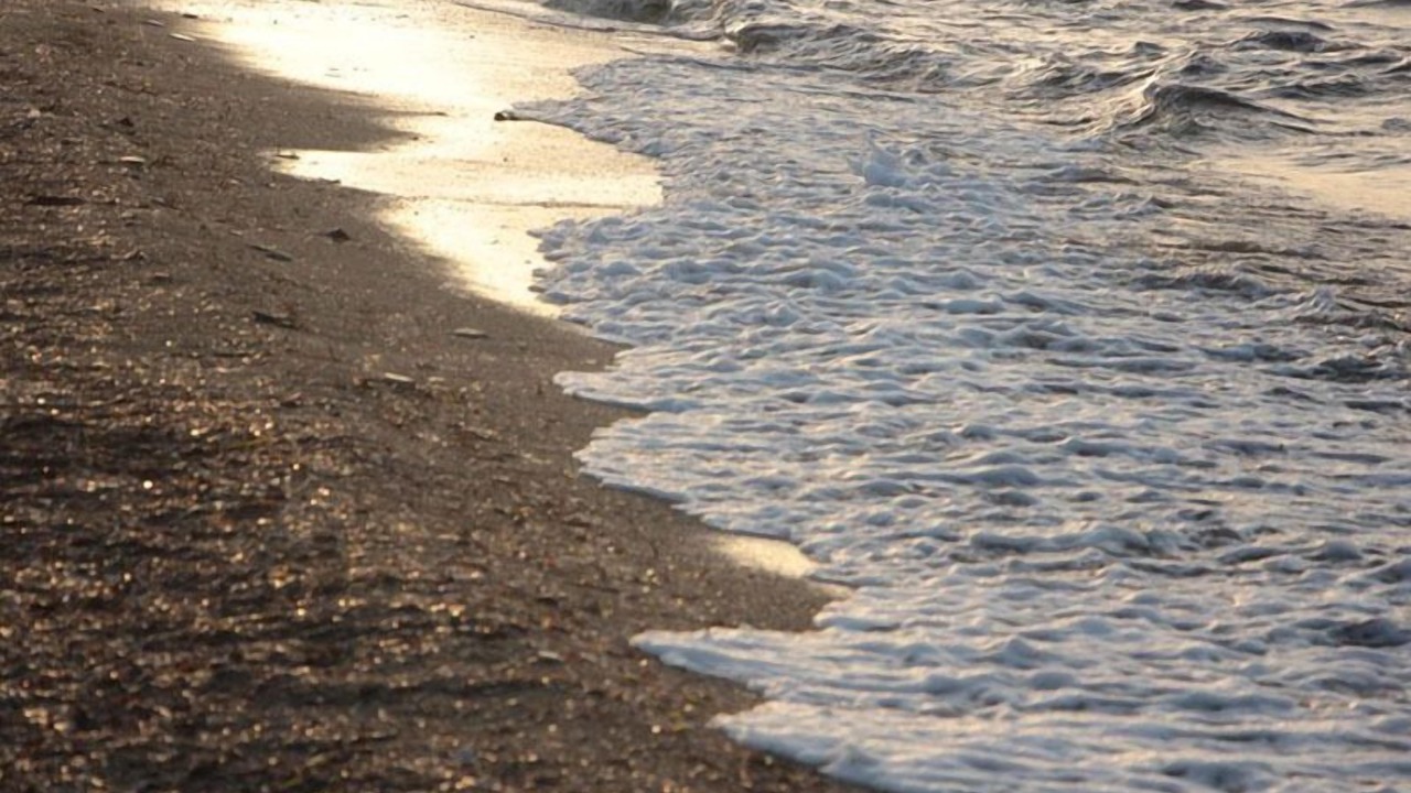 Photo of Others in Yenifoca