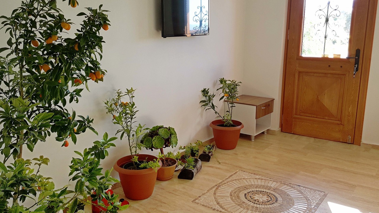 Photo of Others in Bozcaada