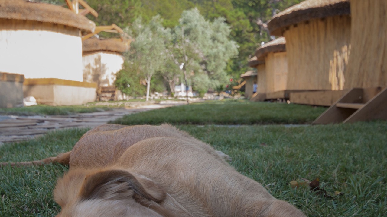 Photo of Outdoor in Kabak Valley
