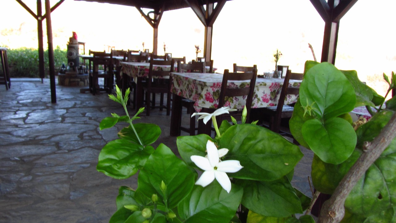 Photo of Outdoor in Bozcaada