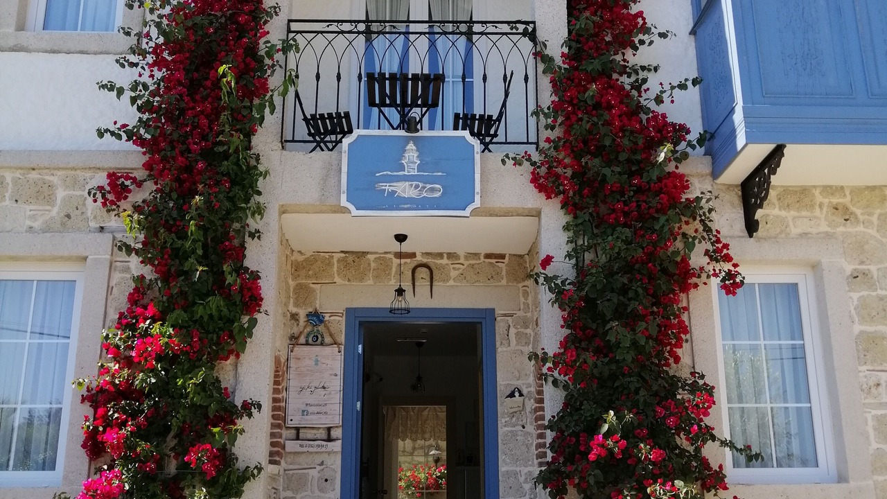Photo of Outdoor in Tokoglu