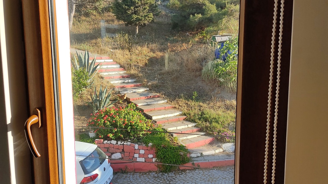 Photo of Bedroom in Bozcaada