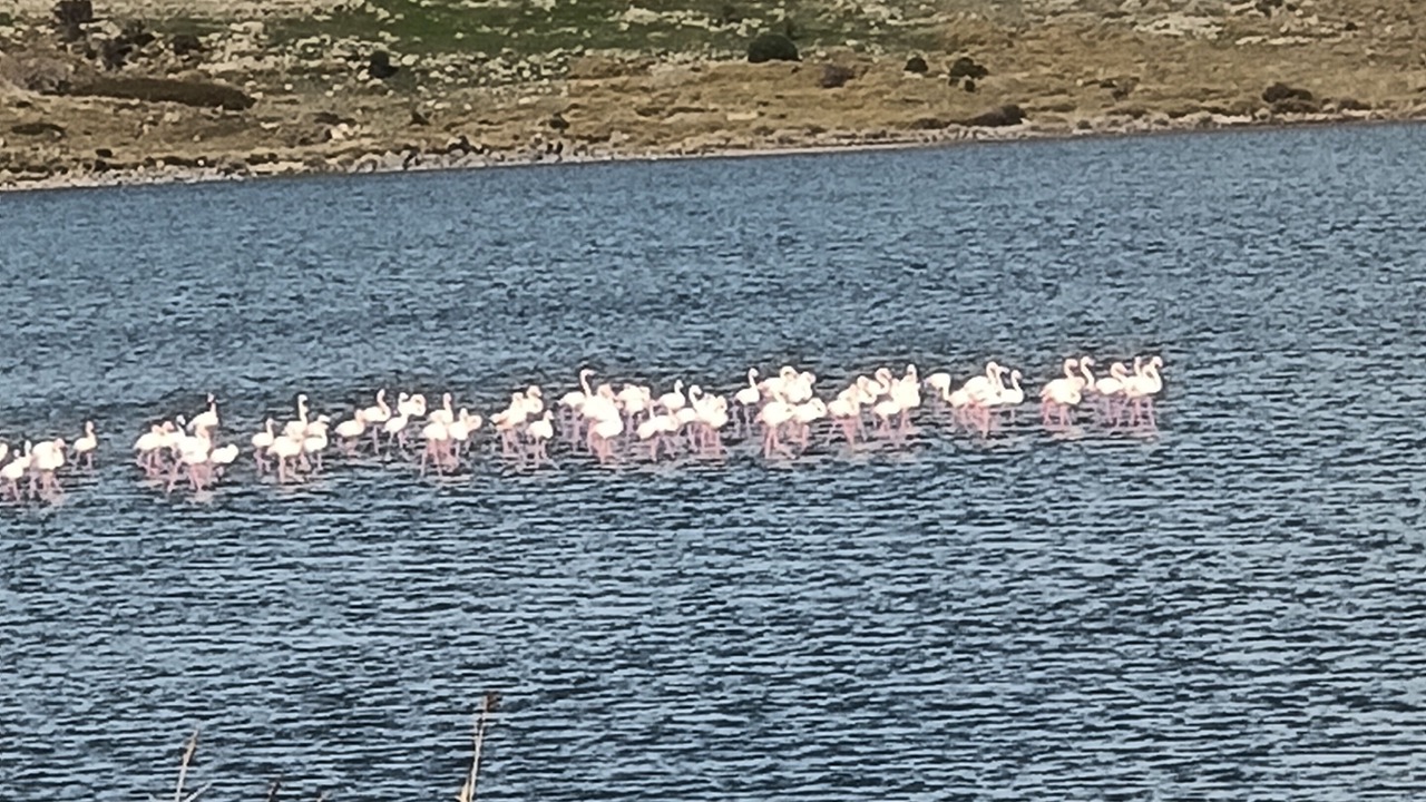 Photo of Outdoor in Gokceada