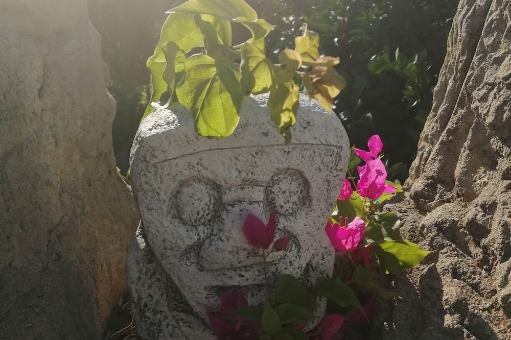 Photo of Outdoor in Ciftlik