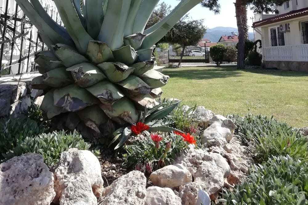 Photo of Outdoor in Ciftlik