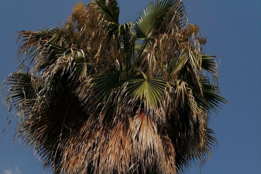Photo of Outdoor in Ciftlik