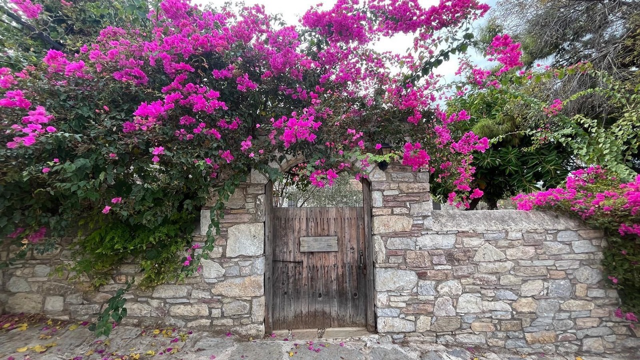 Photo of Outdoor in Old Datca
