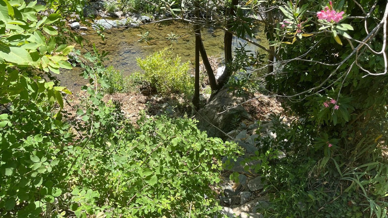 Photo of Outdoor in Zeytinli