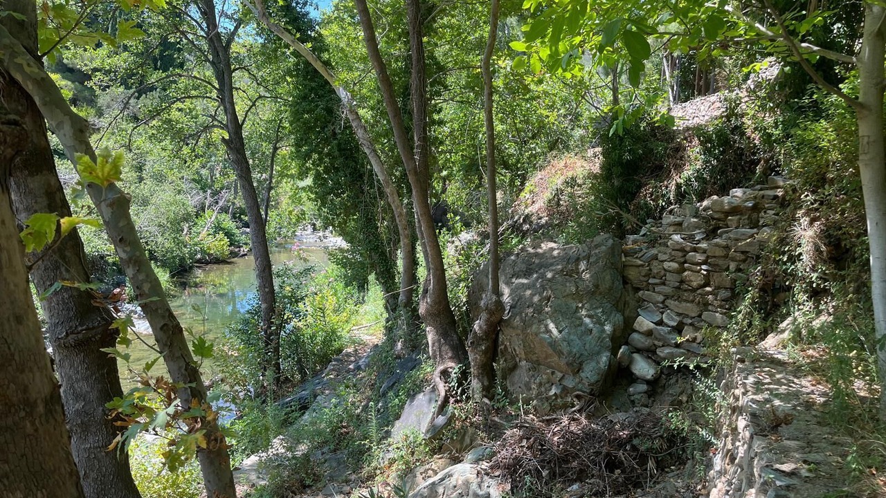Photo of Outdoor in Zeytinli