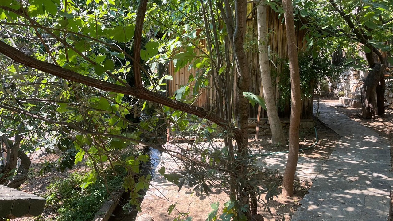 Photo of Outdoor in Zeytinli
