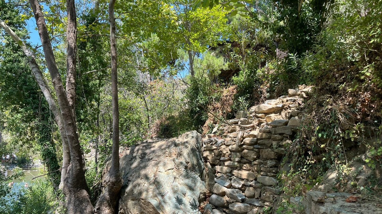 Photo of Outdoor in Zeytinli