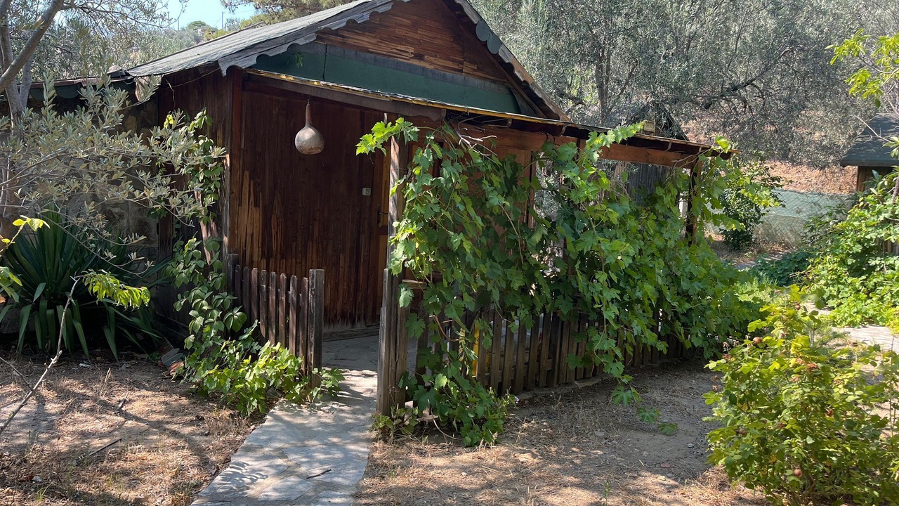 Photo of Outdoor in Zeytinli