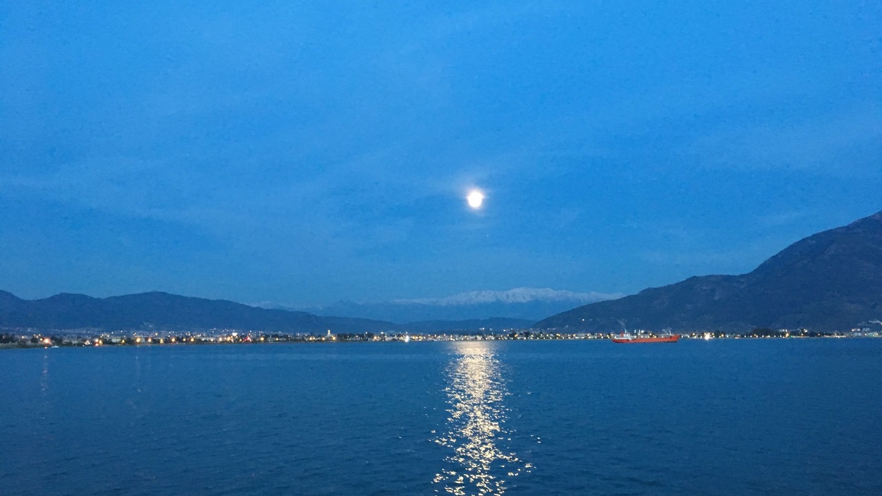 Photo of Others in Fethiye City Center