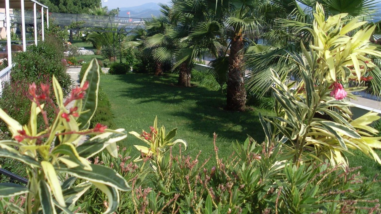 Photo of Outdoor in Koycegiz