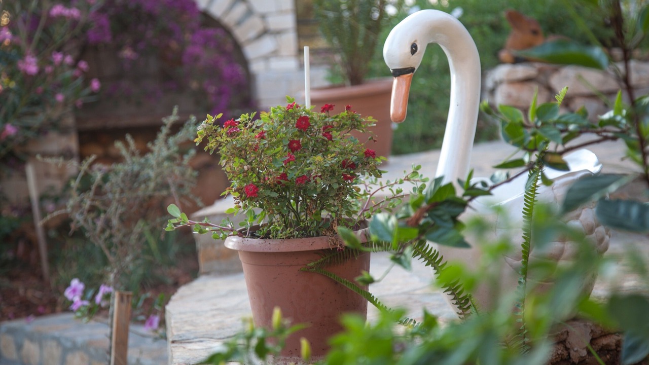 Photo of Outdoor in Kas