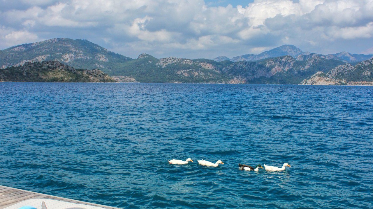Photo of Outdoor in Selimiye
