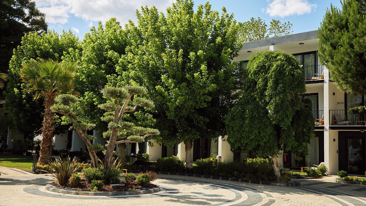 Photo of Outdoor in Suleymanpasa