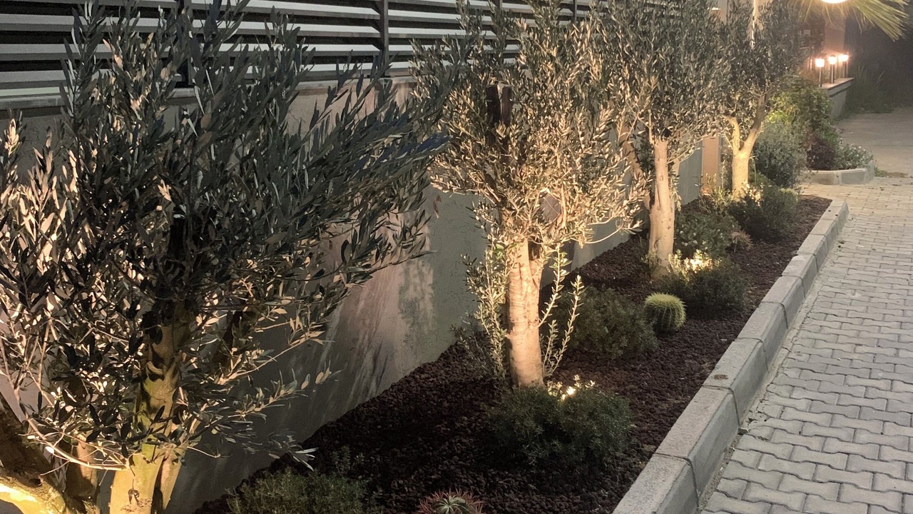 Photo of Outdoor in Narlidere