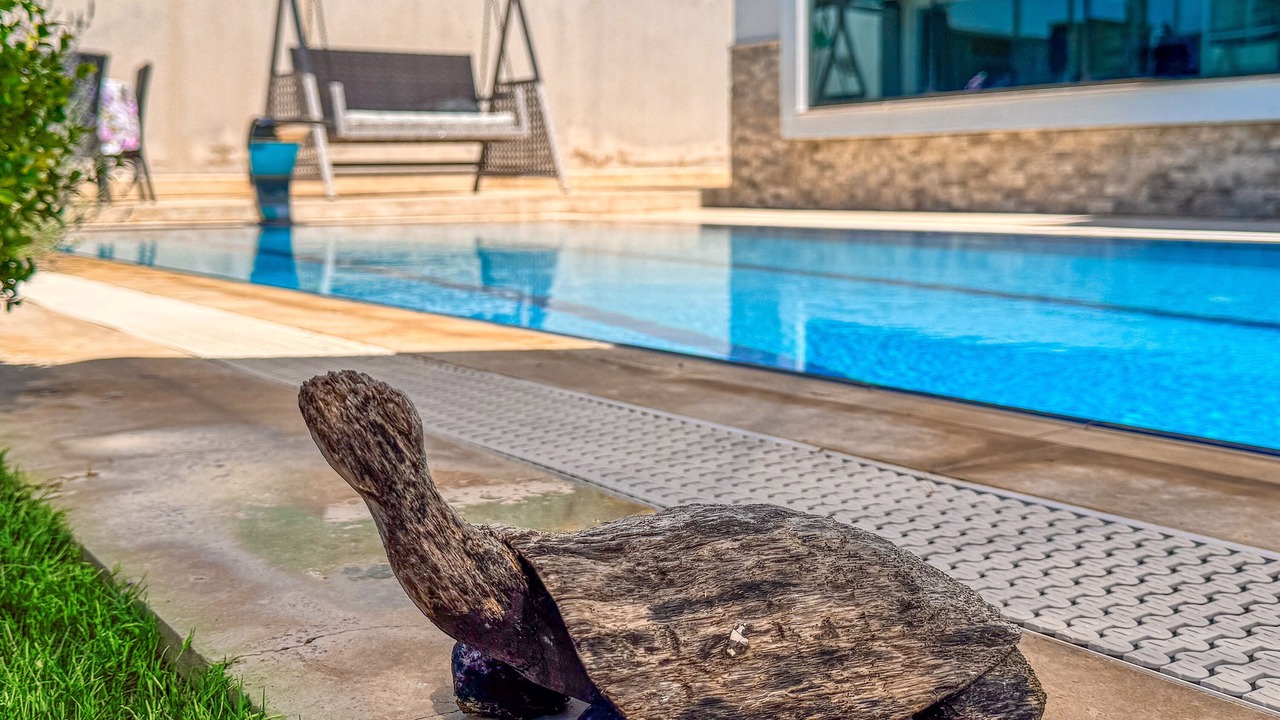 Photo of Outdoor in Kusadasi