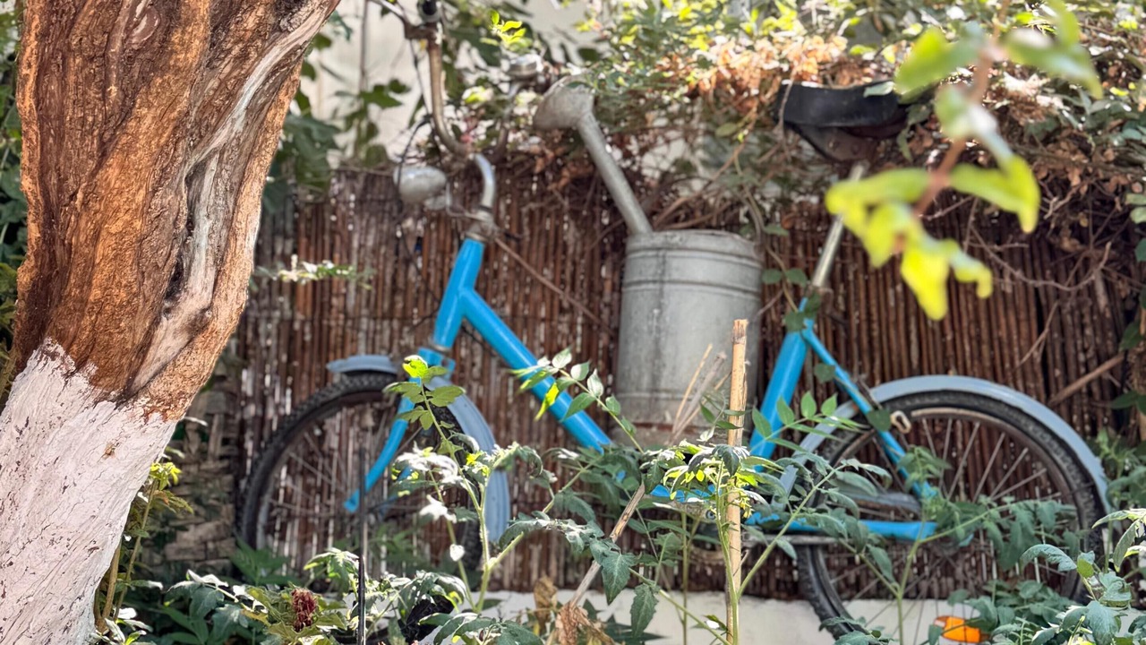 Photo of Outdoor in Bozcaada