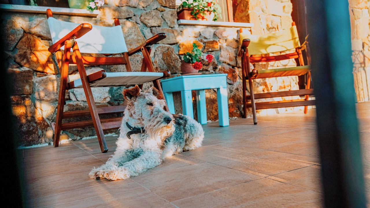 Photo of Outdoor in Bozcaada
