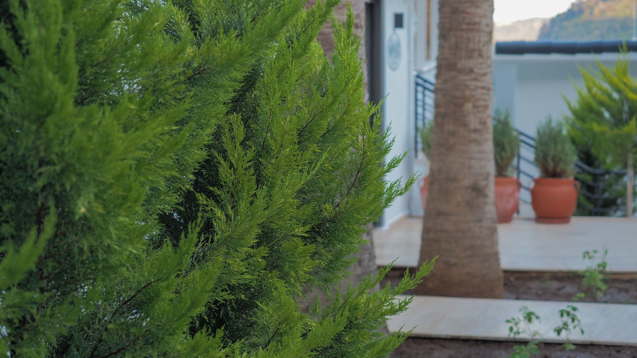 Photo of Others in Marmaris City Center