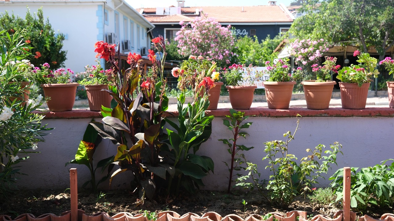 Photo of Outdoor in Yenibademli