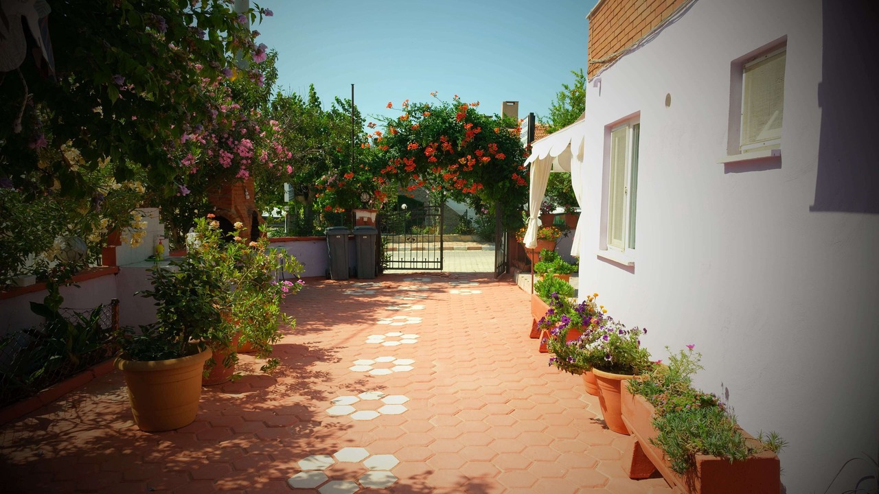 Photo of Outdoor in Yenibademli