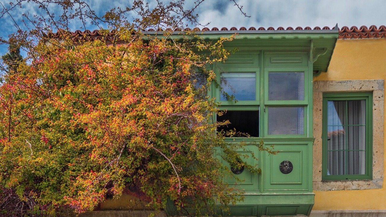 Photo of Outdoor in Tokoglu