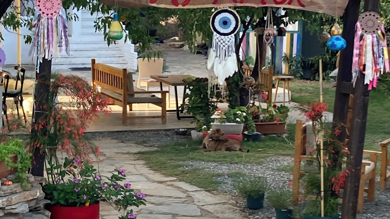 Photo of Outdoor in Selimiye