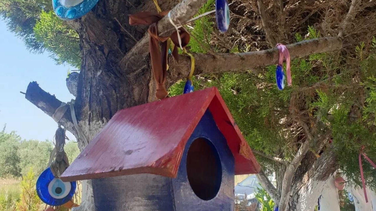 Photo of Outdoor in Marmara