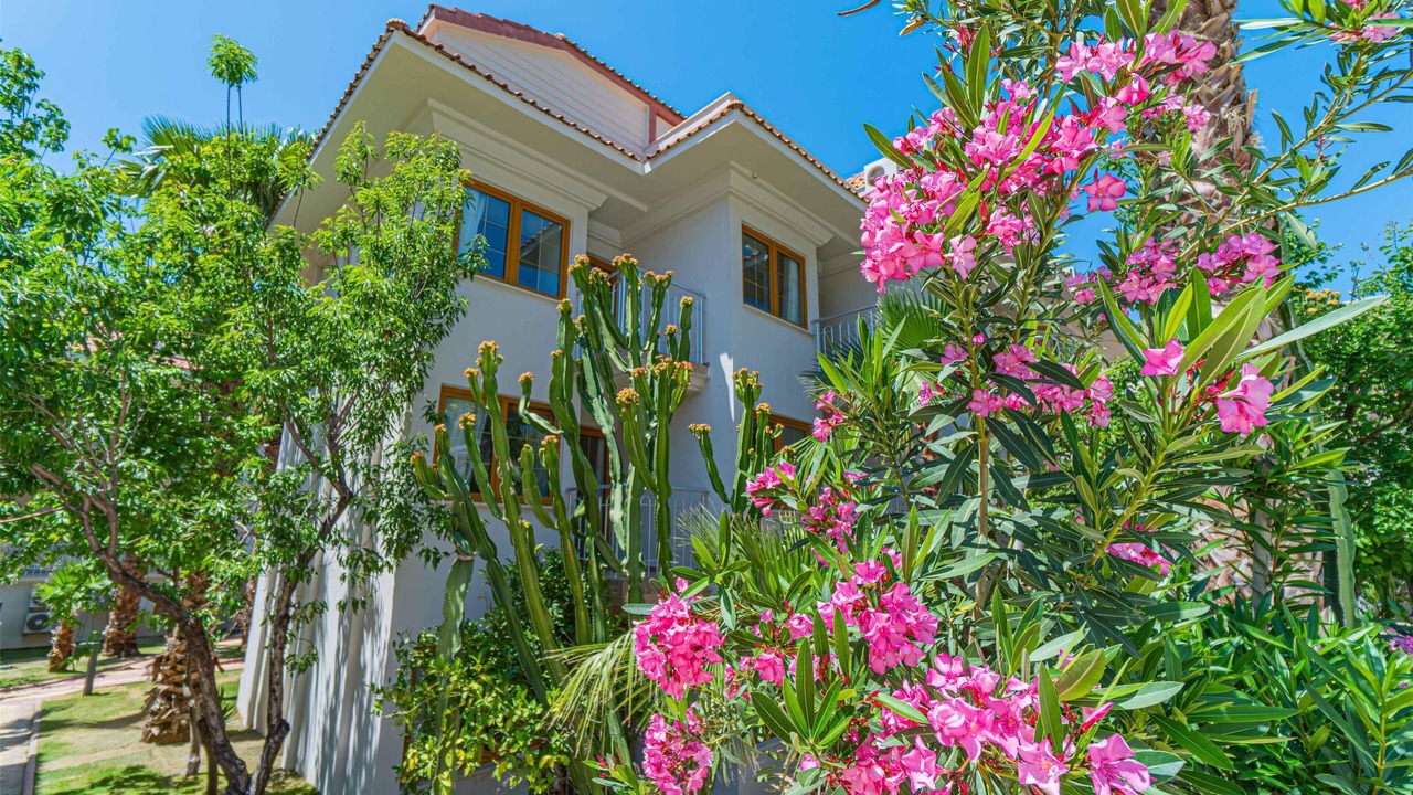 Photo of Outdoor in Oludeniz City Center