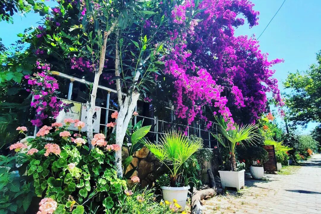 Photo of Outdoor in Marmara