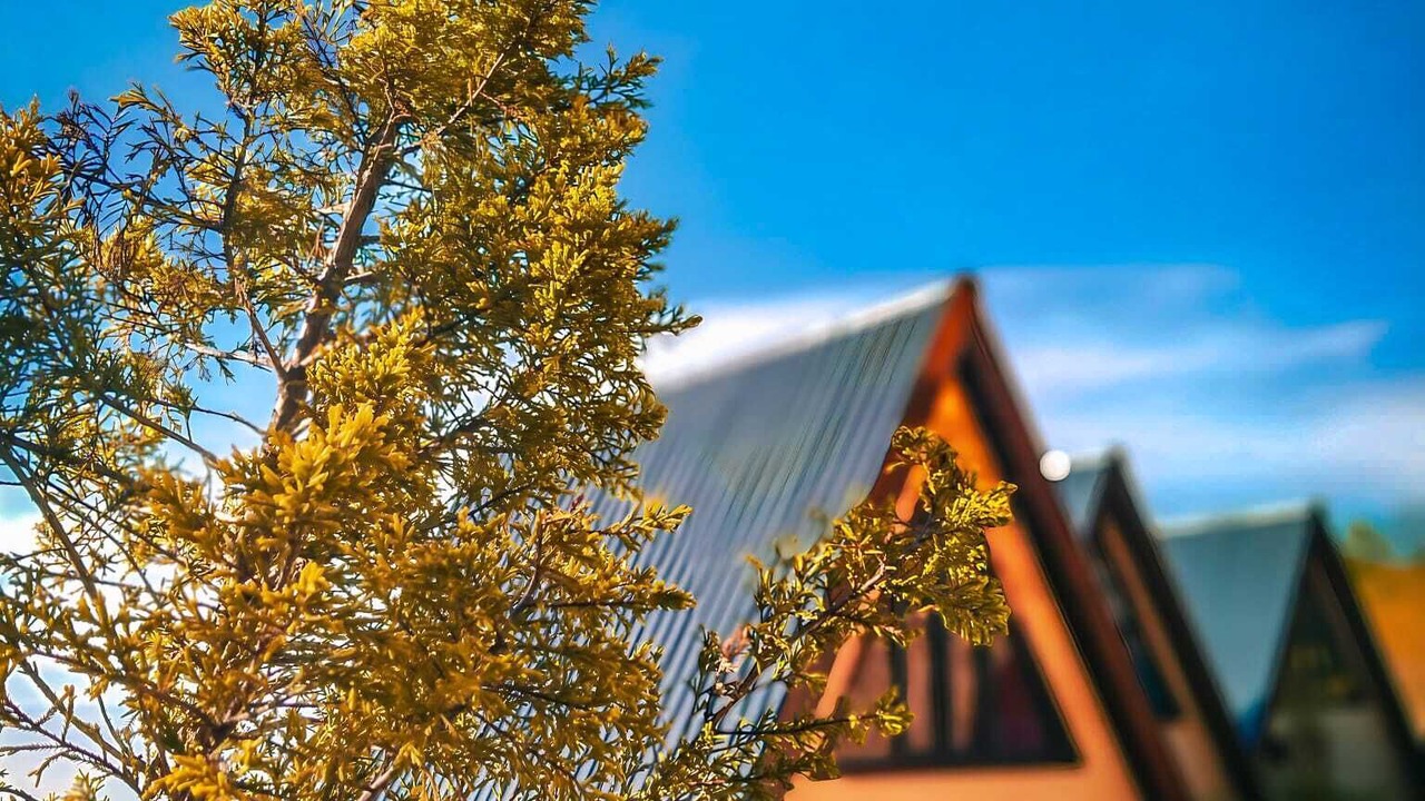 Photo of Outdoor in Surmene
