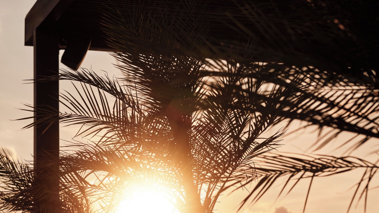 Photo of Others in Bodrum