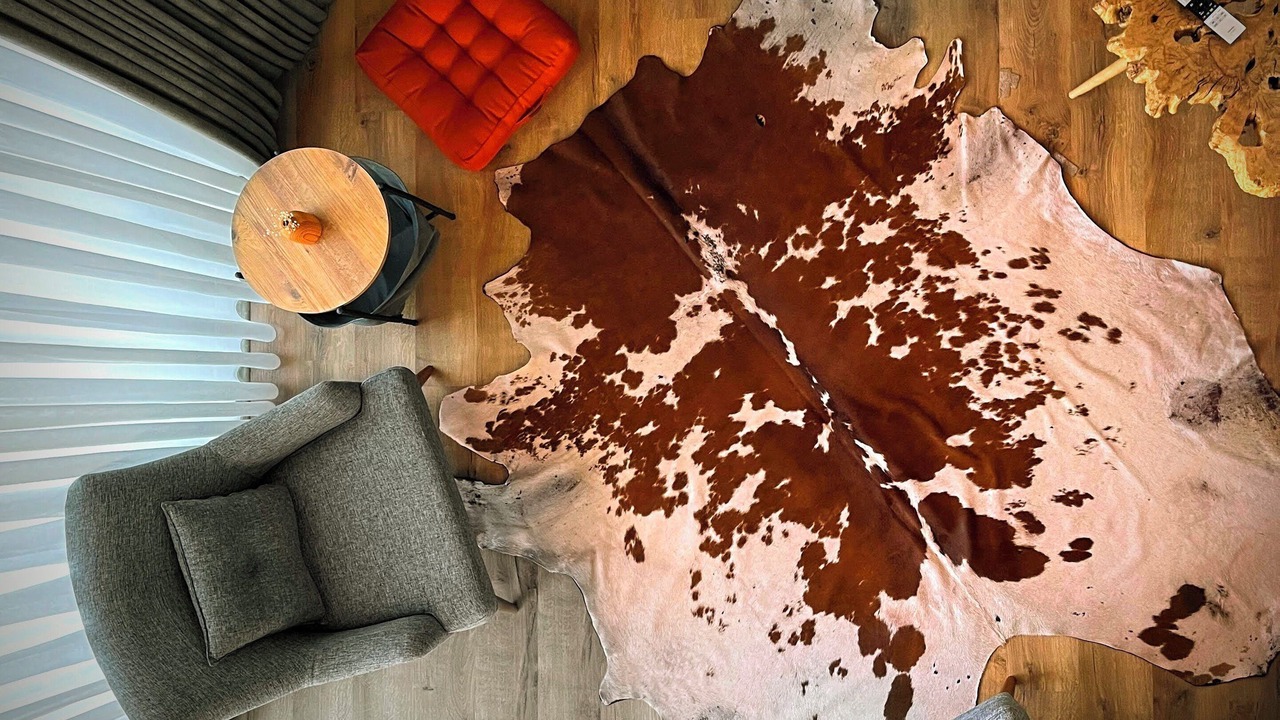 Photo of Livingroom in Bolu