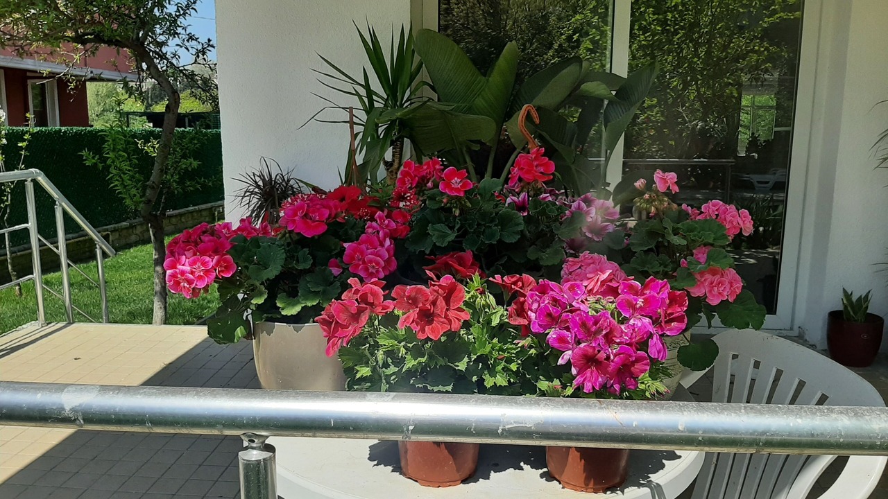 Photo of Outdoor in Kilyos