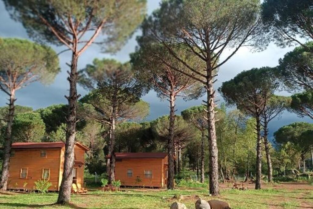 Photo of Outdoor in Bergama