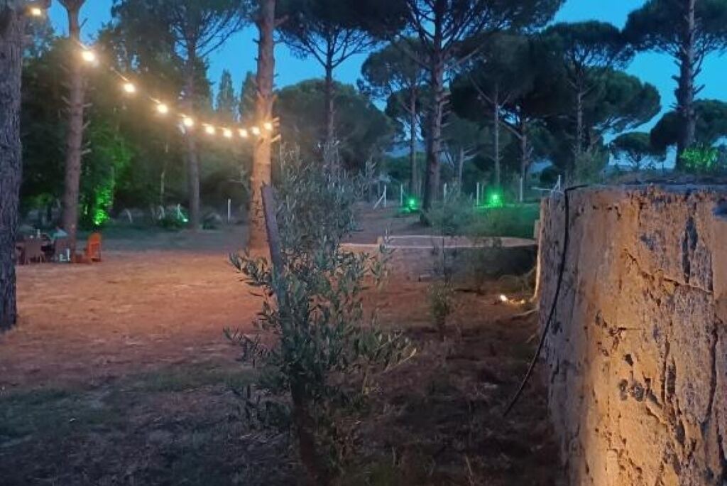 Photo of Outdoor in Bergama