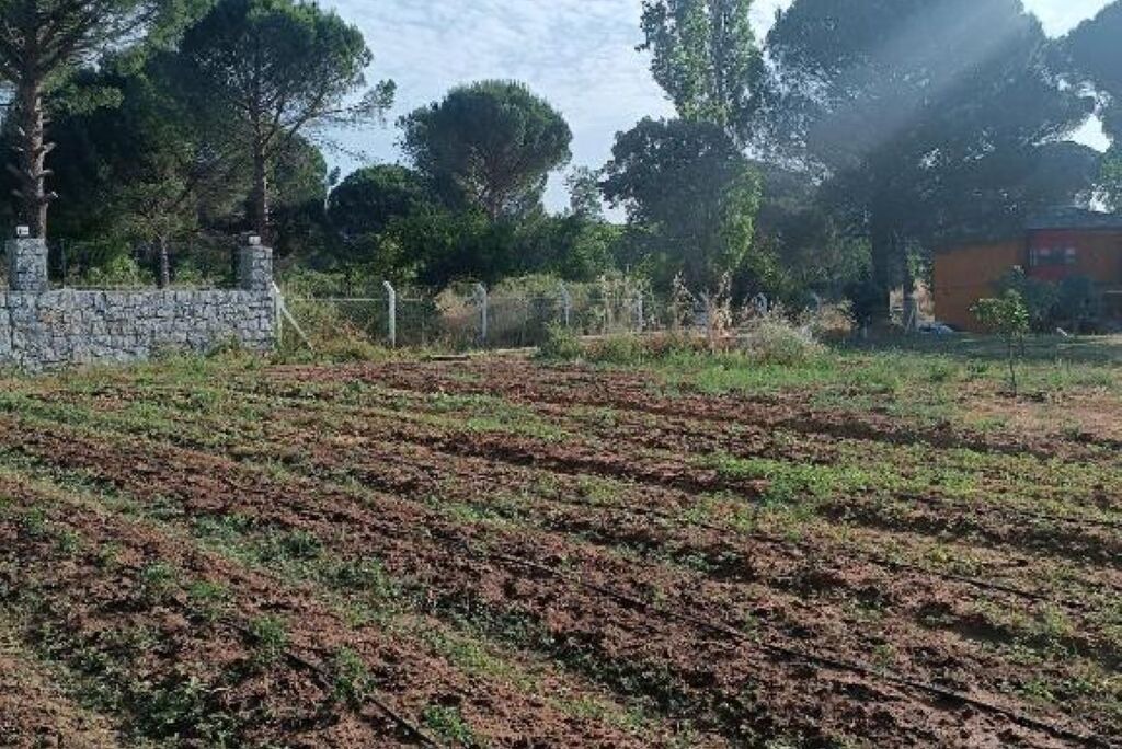 Photo of Others in Bergama
