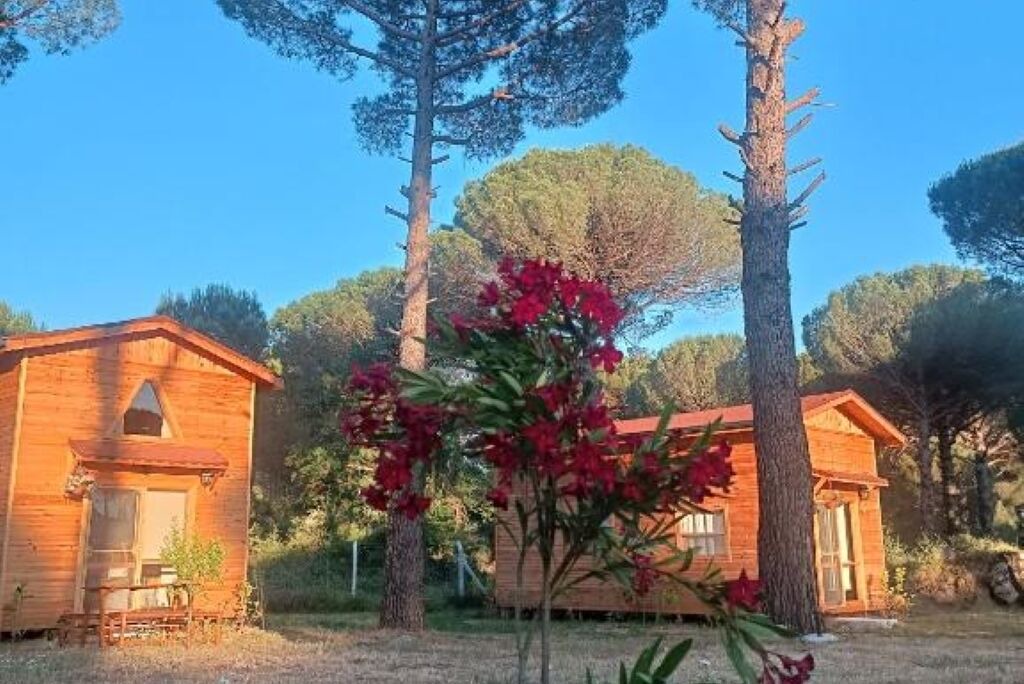 Photo of Outdoor in Bergama