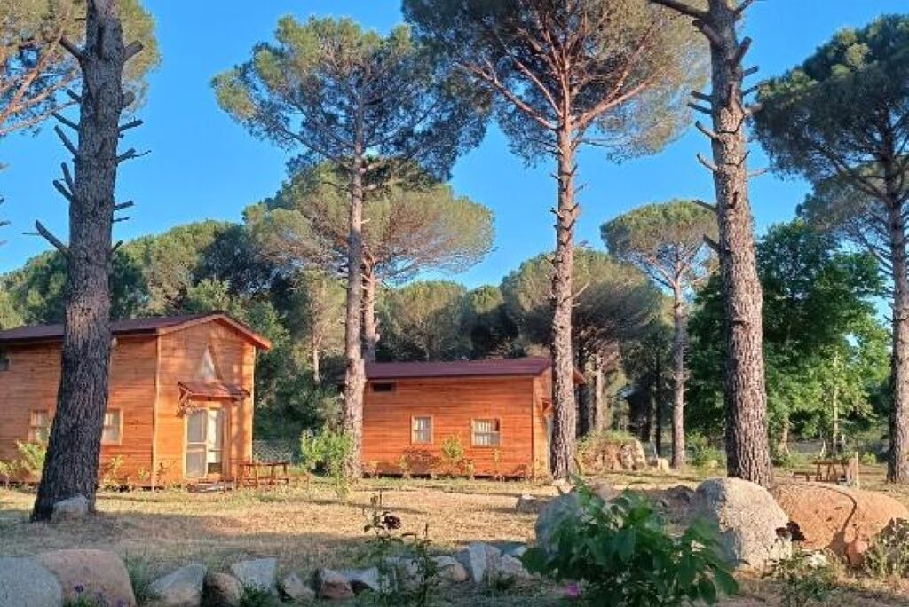 Photo of Outdoor in Bergama