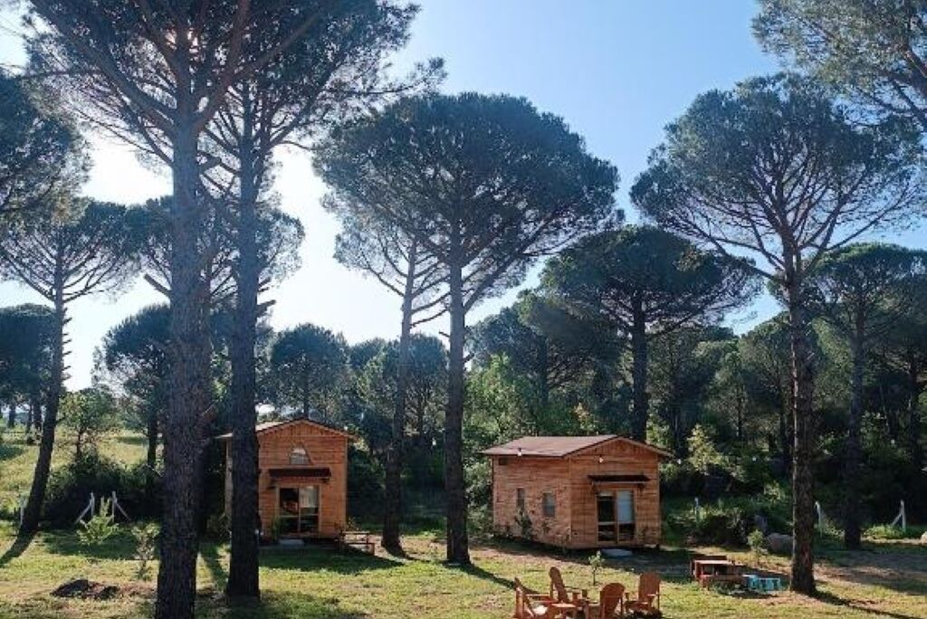 Photo of Outdoor in Bergama